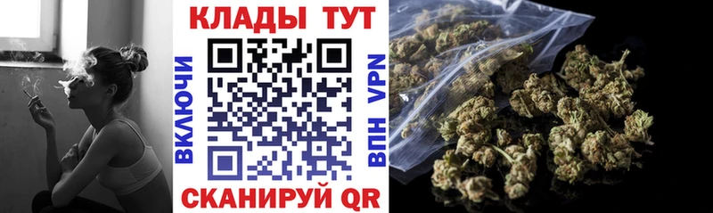  COCAIN Всеволожск