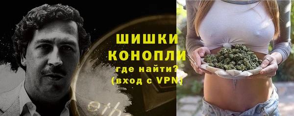 2c-b Белокуриха