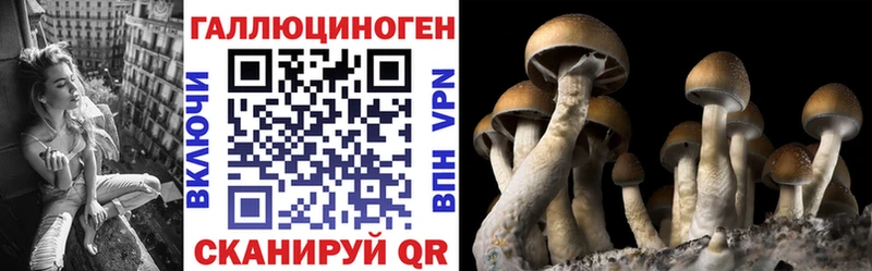 Псилоцибиновые грибы GOLDEN TEACHER  где продают   мега маркетплейс  Всеволожск 