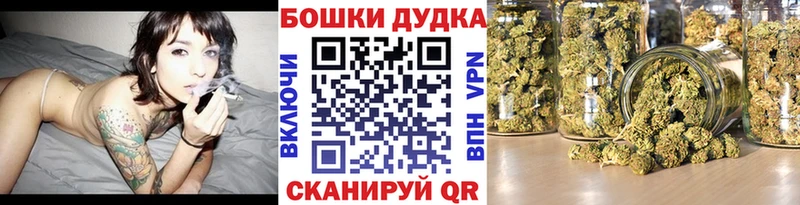OMG tor Всеволожск МАРИХУАНА OG Kush